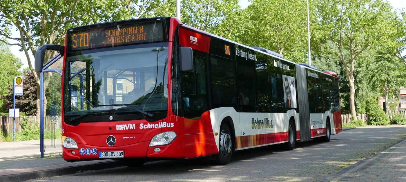 RVM Bus